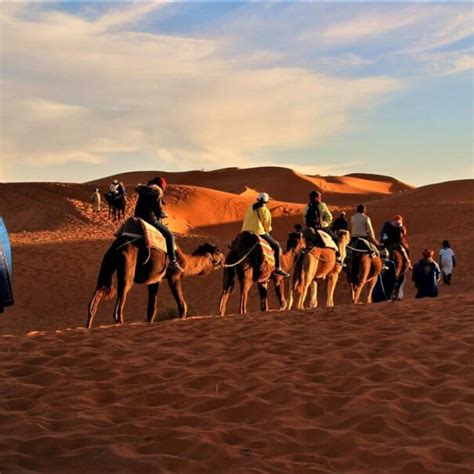 Viaje De D As Desde T Nger A Marrakech Morocco Insight Excursions