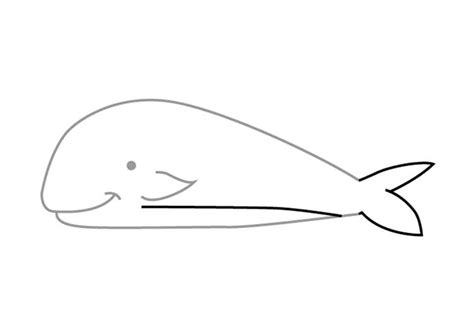 Narwhal Drawing: Easy, Cute, Realistic