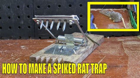 How To Make A Spiked Rat Trap Youtube