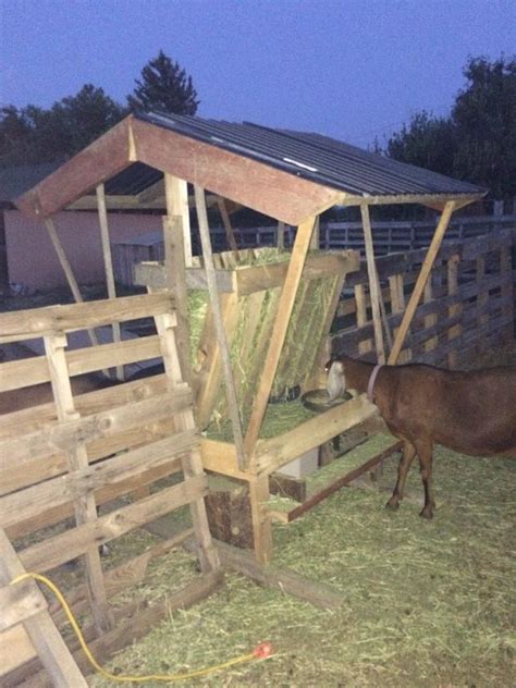 Goat Feeder Using Pallet Boards A Life Of Heritage