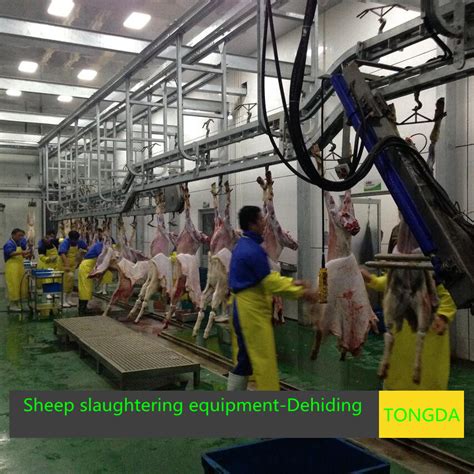 China Sheep Slaughterhouse Made In China Photos And Pictures Made In