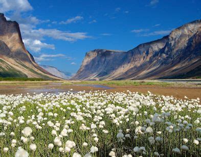 Current Dream Vacation Is To Hike To The Torngats In Labrador