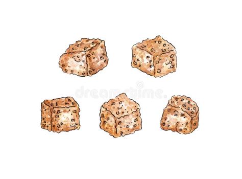 Watercolor Brown Sugar Cubes Stock Illustrations Watercolor Brown