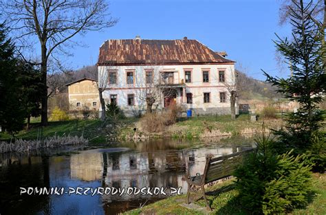 Pomnikowe Drzewa W Nowym Waliszowie Gm Bystrzyca K Odzka Pomniki