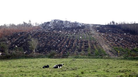 En la zona cero de los incendios É moita madeira a menos apetecible