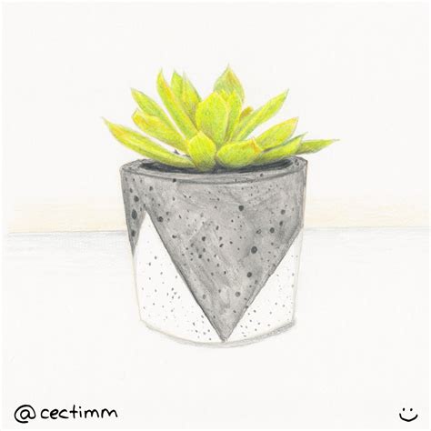 drawing a cactus in a pot - cectimm