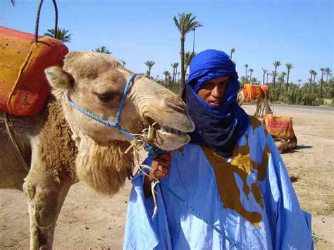 Marrakech Camel Ride Adventure - 1 Hour Authentic Experience