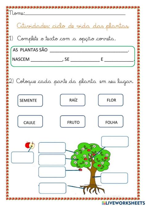 Ciclo De Vida Das Plantas Worksheet Workbook School Subjects Videos