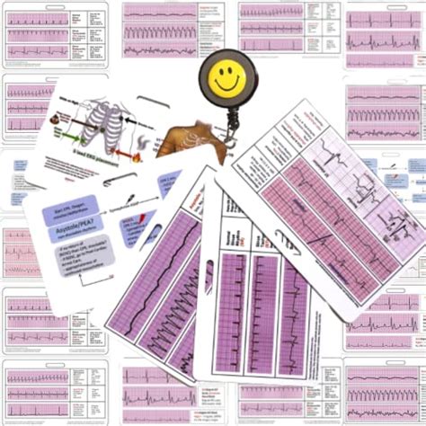 Ekg Nursing Badge Buddy Cpr Acls Bls Code Blue Reference Badge Card