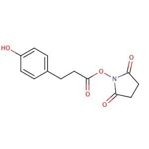 3 4 Hydroxyphenyl Propionic Acid N Hydroxysuccinimide Ester CAS