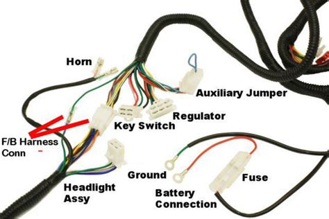 Ice Bear Scooter Wiring Harness