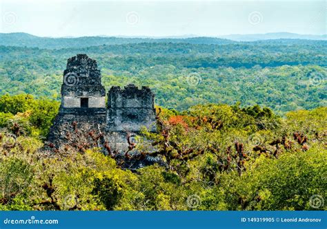 ancient mayan ruins  tikal  guatemala stock image image  maya