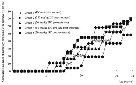 Effects Of Prepubertal Indole Carbinol Treatment On The Cumulative