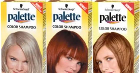 Szampony Koloryzuj Ce Palette Color Shampoo Kobieta W Interia Pl