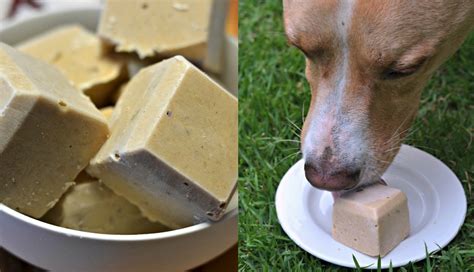 Simple, Tasty Treat With 3 Healthy Ingredients To Keep Your Dog Cool ...