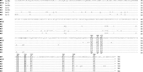 Multiple-sequence alignment of seven different partial PBP2 amino acid ... 