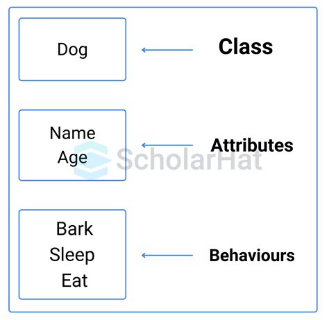 Classes And Objects In Python Explained With Examples