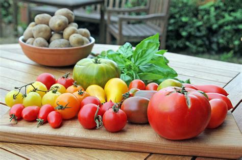 Parkinson welche Rolle spielt Ernährung Parkinson Journal