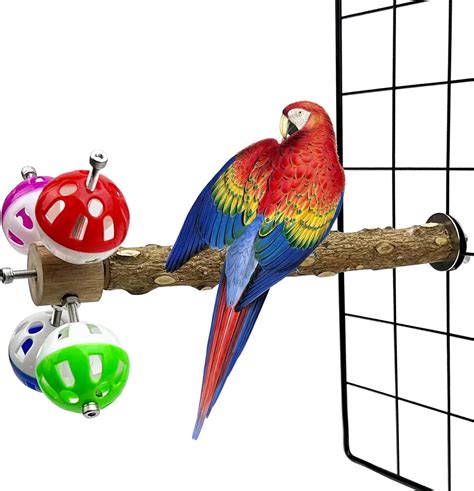 Amazon Flidrunest Natural Pepper Bird Stand Perch Toy With