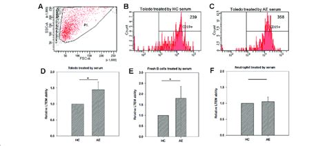 Using In Vitro Leukocyte Transendothelial Migration Ltem Assay To Download Scientific