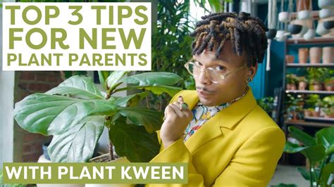 Plant Kween S Best Tips For New Plant Parents Hgtv Handmade Youtube