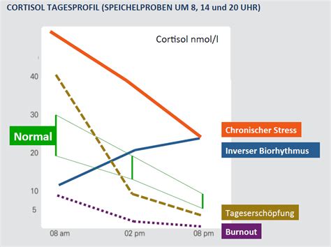 Cortisol Nebennierenschwäche Gesundheitskompetenz24