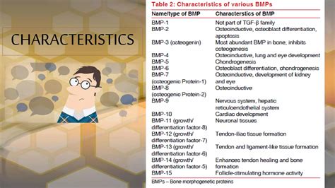 Bone Morphogenetic Proteins Role In Periodontal Regeneration Ppt