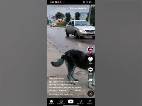 Зелёная собака попытка - YouTube