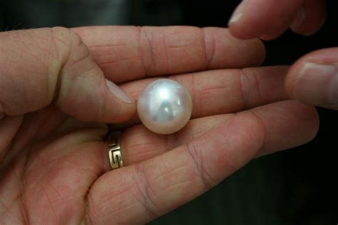 How To Tell If A Pearl Is Real Here Are Some Tips Pearls Pearl