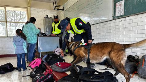 Refuerza Polic A De Arteaga Medidas De Seguridad Con Operativo Mochila