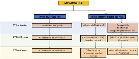 Frontiers Targeting The Tumor Microenvironment In Renal Cell Cancer Biology And Therapy