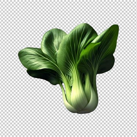 Premium PSD Bok Choy Or Pak Choy Cabbage Isolated Fresh Vegetables