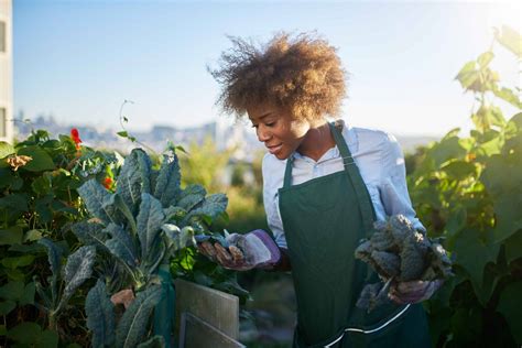 Women In Agriculture Impact Investment Facility Waii Facility