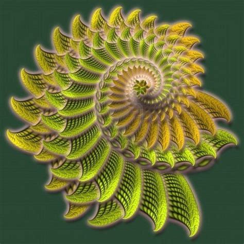 Fractals In Nature Natural Form Pinterest