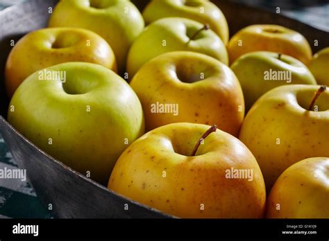 A Tray Of Goldrush Apples From Lancaster Pennsylvania Usa Stock Photo