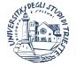 University of Trieste