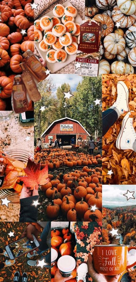 Harvest Harmony Collages Of Autumns Beauty I Love Fall Most Of All