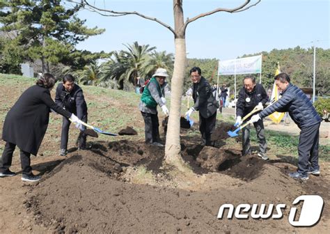 제주 올해 나무 100만 그루 심는다500만 그루 나무심기 3차년도 시행