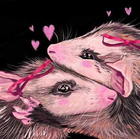 Pin By Sandi Williams On Opossums 🦡🦡🦡 Cute Art Animal Art Funky Art