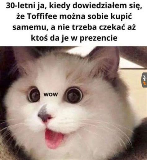 Tyle możliwości Jeja pl