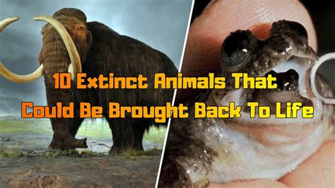 10 Extinct Animals That Could Be Brought Back To Life Youtube