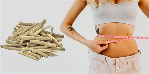 Ashwagandha Weight Loss: Herb Support Weight Management?