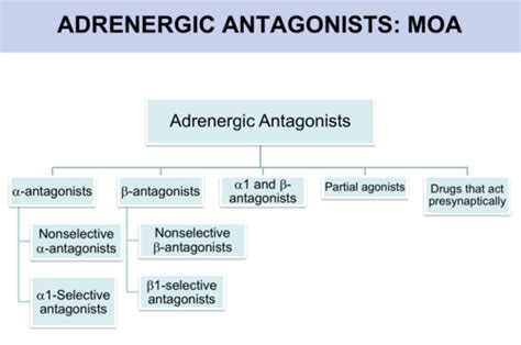 L10 ADRENERGIC AGONISTS ANTAGONISTS 2 Flashcards Quizlet