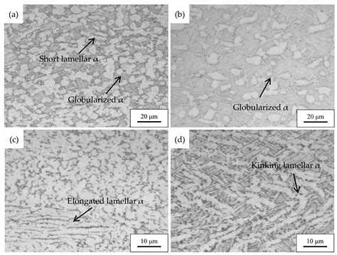 Metals Free Full Text Characterization Of Microstructural Evolution