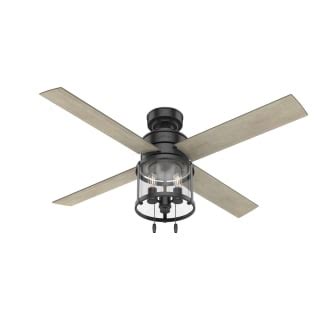 Hunter Indoor Ceiling Fans