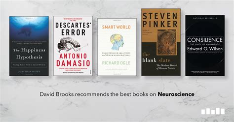 The Best Books on Neuroscience - Five Books Expert Recommendations