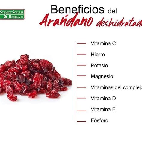 Beneficios De Los Ar Ndanos Deshidratados Para La Salud Nutriaventura