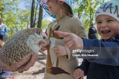 Ryan Herzog Photos And Premium High Res Pictures Getty Images