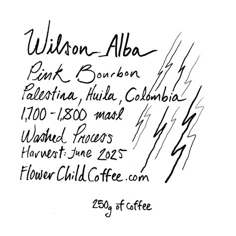 Wilson Alba – FLOWER CHILD COFFEE