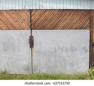 Burrowing Owl Athene Cunicularia Called Shoco Stock Photo